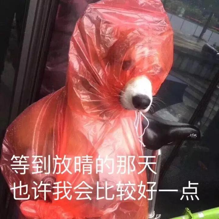 微信圖片_20180629114642.jpg 微信圖片_20180629114642.jpg